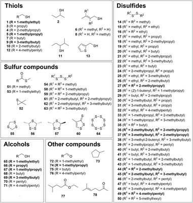 Thiol Metabolism and Volatile Metabolome of Clostridioides difficile